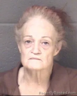 Mugshot of Jodi Lynn Deitz booked in Buncombe County, North Carolina on August 21, 2026