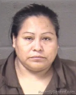 Mugshot of Juliana Ojeda Rosales booked in Buncombe County, North Carolina on September 4, 2026