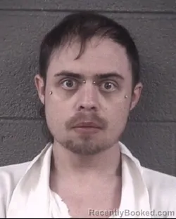 Mugshot of JAMES JAMES TREHERN