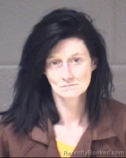 Mugshot of JAMI MARIE LEE LYNN TRESSLER