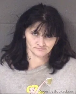 Mugshot of JEAN RENEE TERAUCHI booked in Buncombe County, North Carolina on June 1, 2026