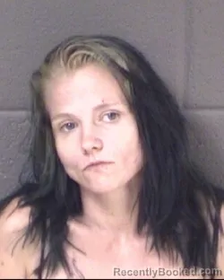 Mugshot of KOURTNEY NICOLE FOWLER booked in Buncombe County, North Carolina on July 20, 2026
