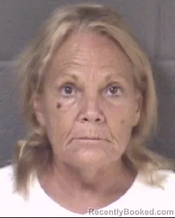 Mugshot of Karen Mishoe Teffner Tobe booked in Buncombe County, North Carolina on August 31, 2026