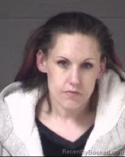 Mugshot of KRISTY RAE WILSON booked in Buncombe County, North Carolina on March 18, 2026