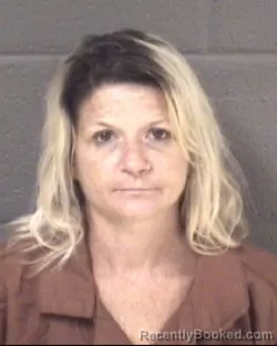 Mugshot of LORI DALE BROOKS booked in Buncombe County, North Carolina on July 4, 2026