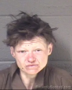 Mugshot of LUIBOV VLADIMIROVNA CAMPBELL booked in Buncombe County, North Carolina on March 20, 2026