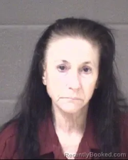 Mugshot of LEISA ANN HOLLIFIELD