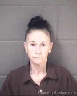 Mugshot of LEISA ANN HOLLIFIELD booked in Buncombe County, North Carolina on April 6, 2026