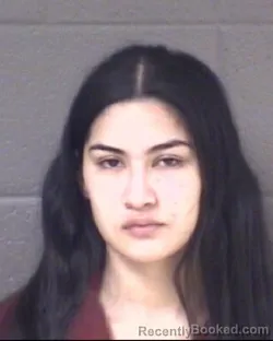 Mugshot of LETICIA NEVAREZ RUIZ