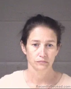 Mugshot of LESLEY BURROUGHS ROBERTS booked in Buncombe County, North Carolina on June 1, 2026