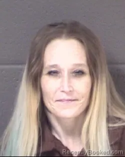 Mugshot of LESLIE STILLMAN WILKIE booked in Buncombe County, North Carolina on June 3, 2026