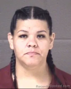 Mugshot of MONICA LEE HALL booked in Buncombe County, North Carolina on June 3, 2026