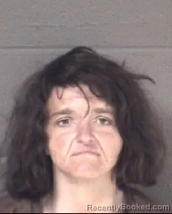 Mugshot of MARTHA N JOHNSON booked in Buncombe County, North Carolina on March 28, 2026