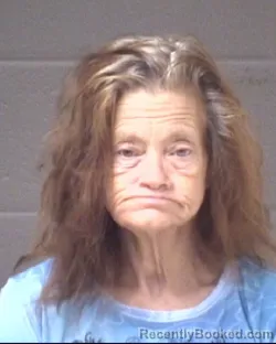 Mugshot of MARIAN CECILIA LITTLE booked in Buncombe County, North Carolina on July 16, 2026