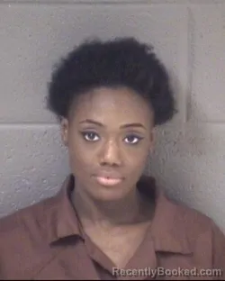 Mugshot of MICHAEL MICHELLE GABRIL LITTLE booked in Buncombe County, North Carolina on March 5, 2026