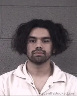 Mugshot of MARCO ANTONIO MEZA-GALVAN booked in Buncombe County, North Carolina on March 29, 2026