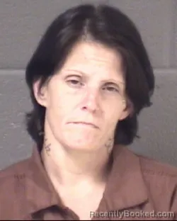 Mugshot of MISTY KAY NEISWONGER booked in Buncombe County, North Carolina on May 31, 2026
