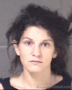 Mugshot of Morgan Elizabeth Ruane booked in Buncombe County, North Carolina on August 27, 2026