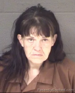 Mugshot of Melissa Smith Walker booked in Buncombe County, North Carolina on August 21, 2026