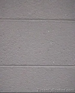 Mugshot of RICKY ALLEN BROWN