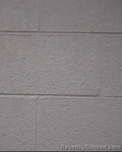 Mugshot of RONALD LEWIS CARTER booked in Buncombe County, North Carolina on March 29, 2026