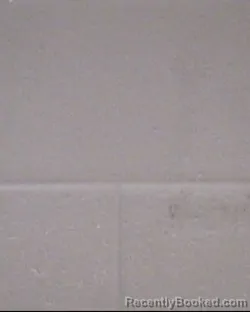 Mugshot of RICHARD WADE PENLEY booked in Buncombe County, North Carolina on March 19, 2026