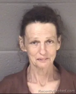 Mugshot of RONDA ALISON ROGERS booked in Buncombe County, North Carolina on July 5, 2026