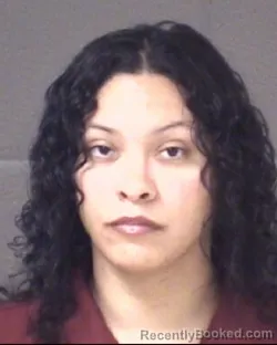Mugshot of RASNELLY VARGAS booked in Buncombe County, North Carolina on April 8, 2026