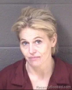 Mugshot of STEPHANIE LESHAY BALDWIN booked in Buncombe County, North Carolina on July 7, 2026