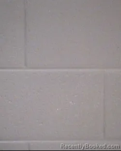 Mugshot of SHANE EDWARD CRAWFORD