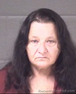 Mugshot of SANDRA JANE FIELDS booked in Buncombe County, North Carolina on July 7, 2026