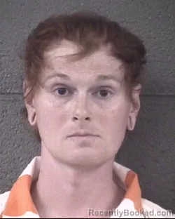 Mugshot of SYLVIA AMAYA HARPER booked in Buncombe County, North Carolina on May 15, 2026