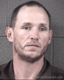 Mugshot of STACY LANE HONEYCUTT