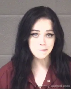 Mugshot of SHELBY NICOLE HUGHES booked in Buncombe County, North Carolina on June 4, 2026