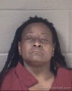 Mugshot of SHARON DENISE LOGAN booked in Buncombe County, North Carolina on May 9, 2026