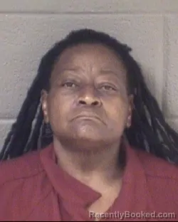 Mugshot of SHARON DENISE LOGAN booked in Buncombe County, North Carolina on May 10, 2026