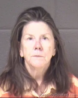 Mugshot of SHARON LONG MCINNIS booked in Buncombe County, North Carolina on May 20, 2026