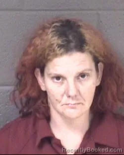 Booking photo from Buncombe County, North Carolina