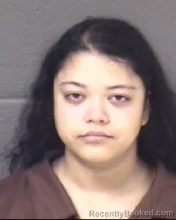 Mugshot of SIDNEY ALLERA STILBER