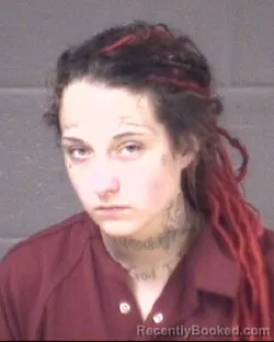 Mugshot of TAYLOR ANN DYKES booked in Buncombe County, North Carolina on July 7, 2026