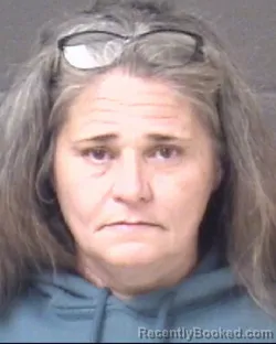 Mugshot of TINA LOUISE GIBSON