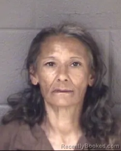 Mugshot of TAMMY MASSEY GREEN booked in Buncombe County, North Carolina on June 28, 2026