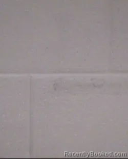 Mugshot of TRACY MOSS HUGHES booked in Buncombe County, North Carolina on April 24, 2026