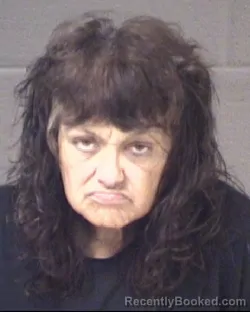 Mugshot of TINA LYNN JENKINS booked in Buncombe County, North Carolina on May 21, 2026
