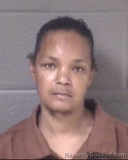 Mugshot of Terri Monque Lynch booked in Buncombe County, North Carolina on August 28, 2026