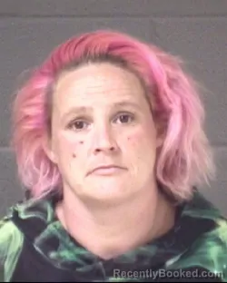 Mugshot of TERESA ROSEANN LUNSFORD booked in Buncombe County, North Carolina on March 29, 2026