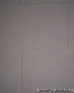 Mugshot of TREY BARTLEY ORR