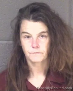 Mugshot of TRACY ANNE RAMSEY
