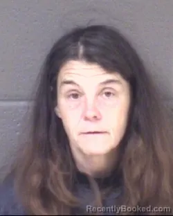 Mugshot of TRACY ANNE RAMSEY