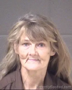 Mugshot of Tina Leah Ridener booked in Buncombe County, North Carolina on August 28, 2026